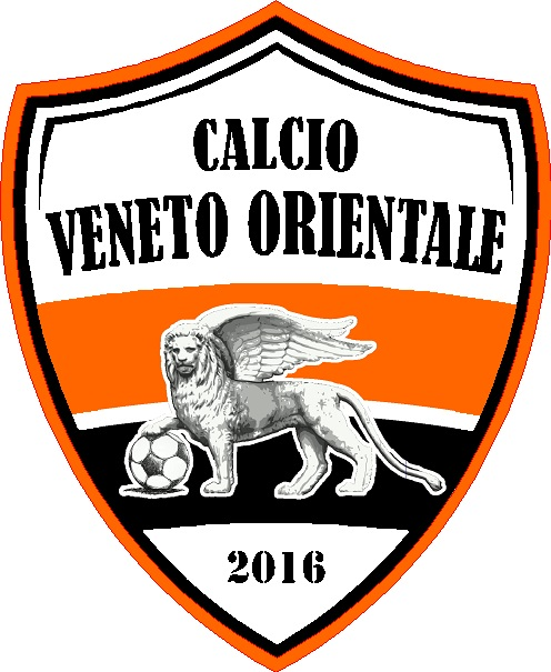 logo CALCIO VENETO ORIENTALE